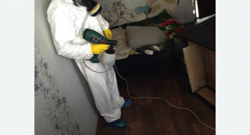 Обработка квартир от насекомых в Козьмодемьянске