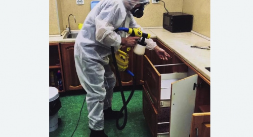 Дезинсекция квартиры. Козьмодемьянск