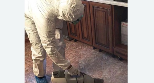 Уничтожение тараканов в квартире. Козьмодемьянск