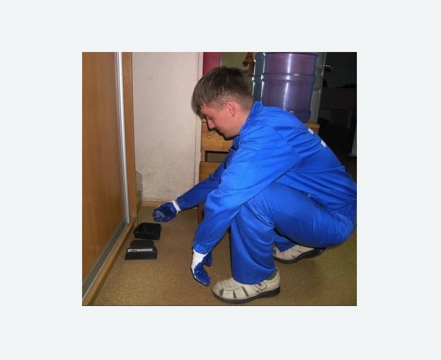 Дератизация крыс Дератизация крыс в Козьмодемьянске