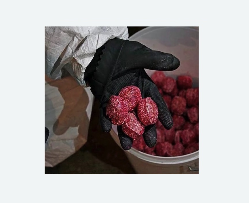 Обработка от крыс Обработка от крыс в Козьмодемьянске