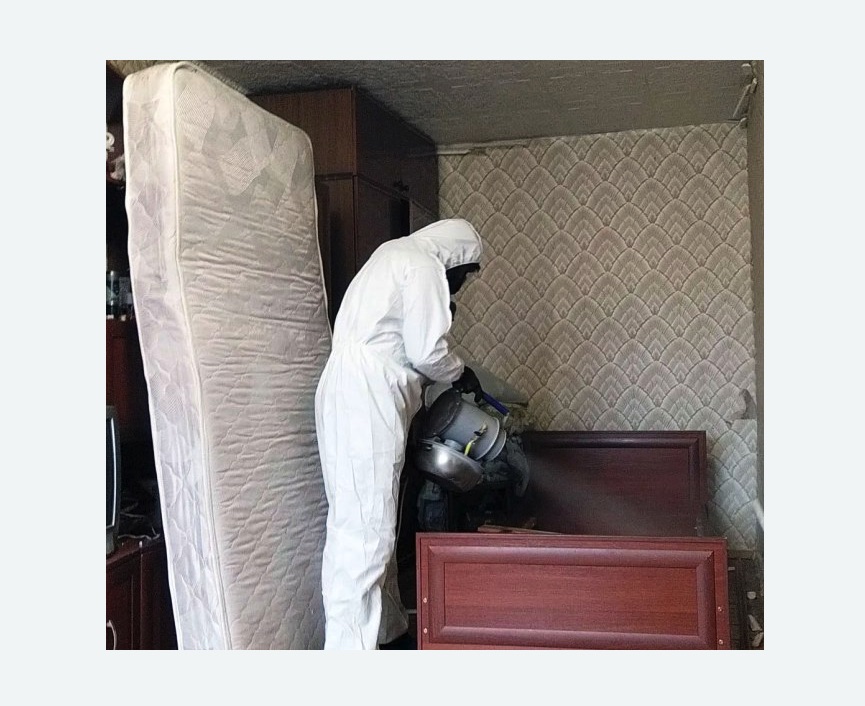 дезинфекция от клопов в Козьмодемьянске