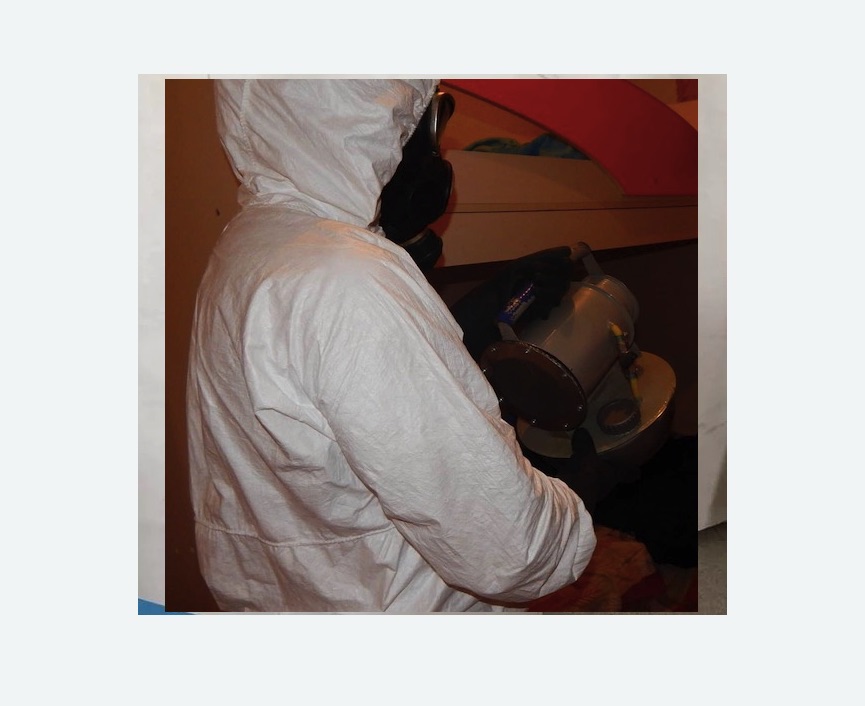 Дезинфекция от муравьев в Козьмодемьянске