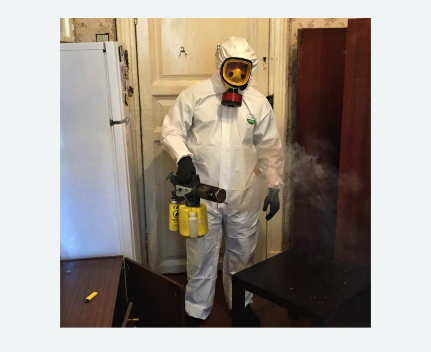 уничтожение муравьев в квартире в Козьмодемьянске